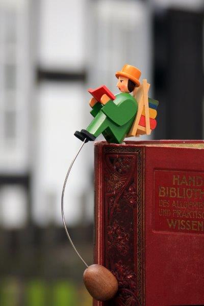 Buchleser groß
